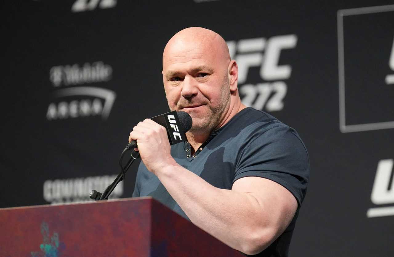 Dana White reveals that UFC made an 'offer' for Jake Paul after a YouTuber asked that MMA chief allow him to fight in the octagon