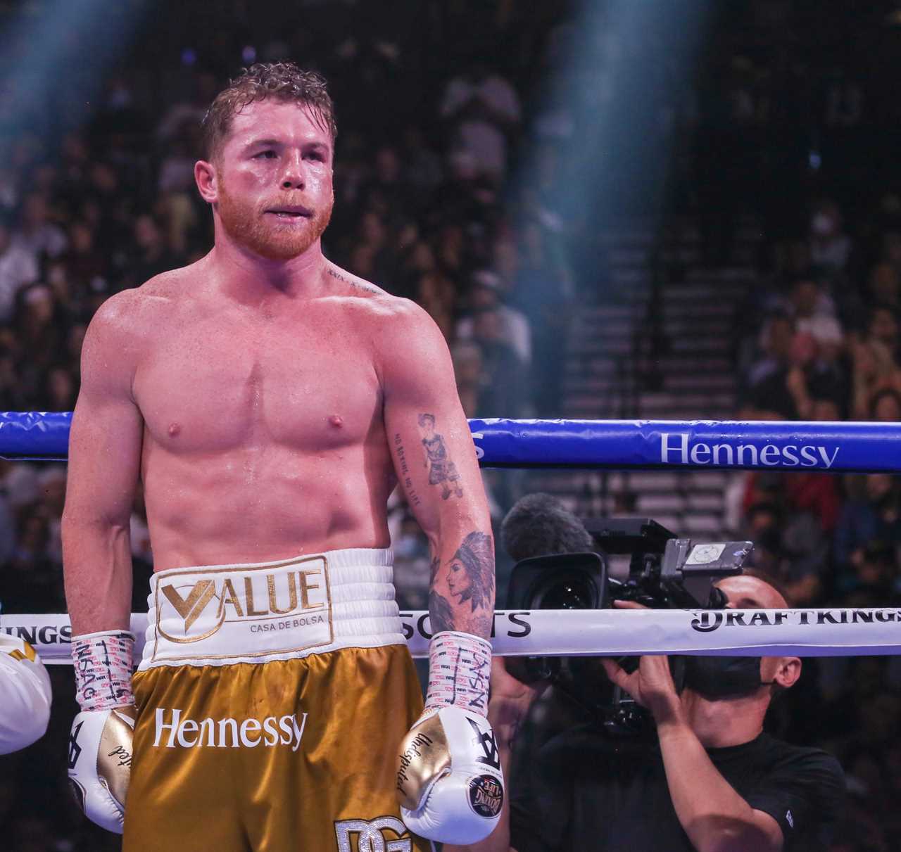 UFC boss Dana White slams'stupid boxing vs MMA' fight between Kamaru Usman and Canelo Avarez