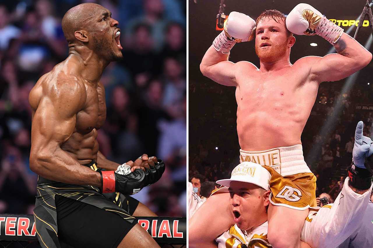 UFC boss Dana White slams'stupid boxing vs MMA' fight between Kamaru Usman and Canelo Avarez