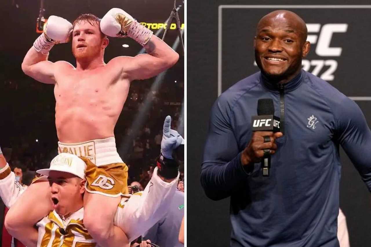 UFC boss Dana White slams'stupid boxing vs MMA' fight between Kamaru Usman and Canelo Avarez