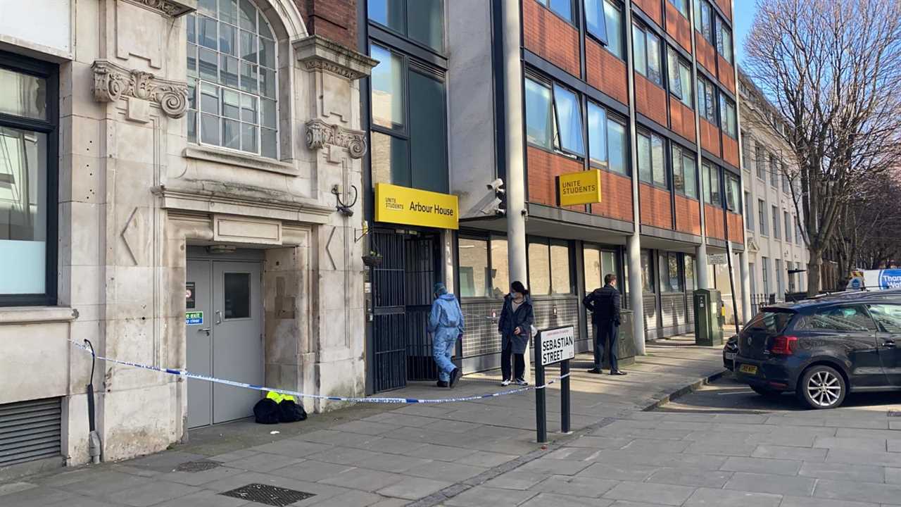 UFC London: Watch Ilia topuria brutally KO Brit Jai Herbert during a statement-making lightweight debut