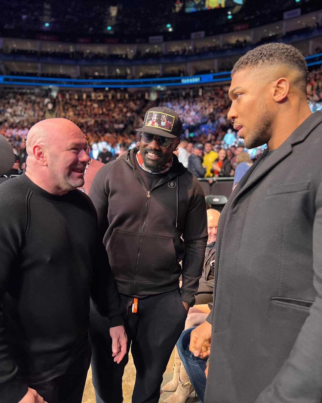 We live and breathe fight games - Anthony Joshua, Dereck Chisora and Co are front row at UFC London.