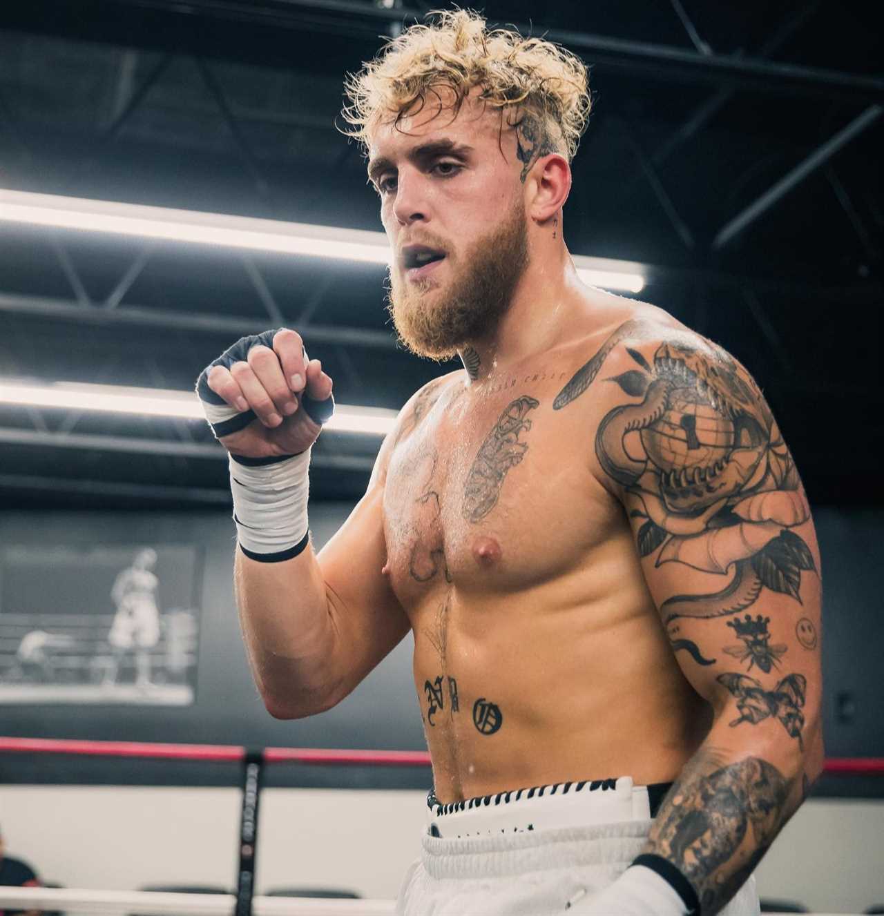 Jake Paul is ready to train in MMA six months in preparation to fight Conor McGregor. He also warns that he will retire from the UFC.
