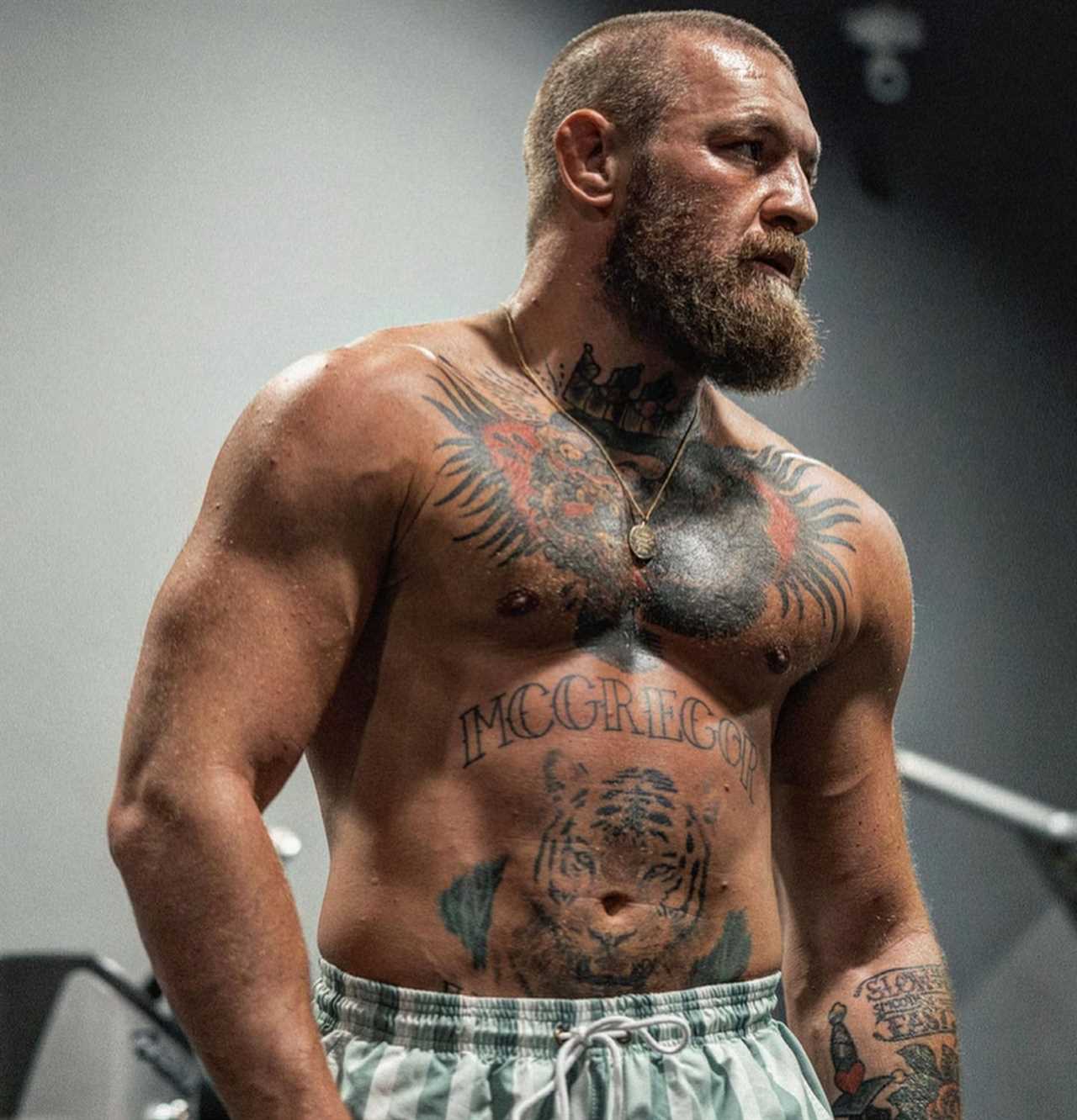 Jake Paul is ready to train in MMA six months in preparation to fight Conor McGregor. He also warns that he will retire from the UFC.
