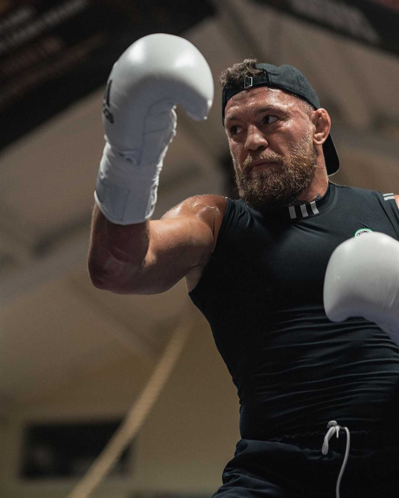 UFC fans plead with Conor McGregor after Khamzat Chimaev releases a clip of him boxing.