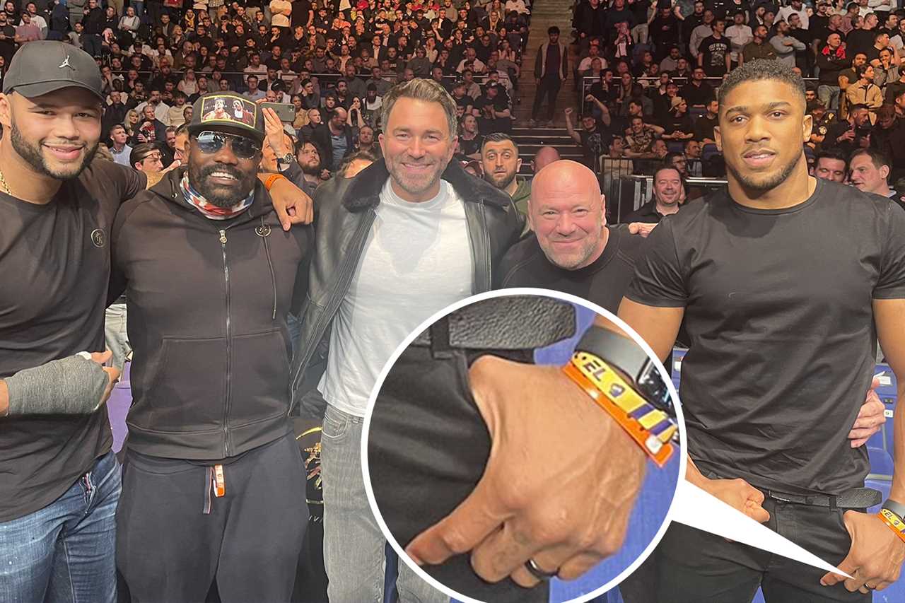 Tyson Fury's lesser-known cousin Levi Frankham hopes to extend his perfect boxing record with Frank Warren fight card