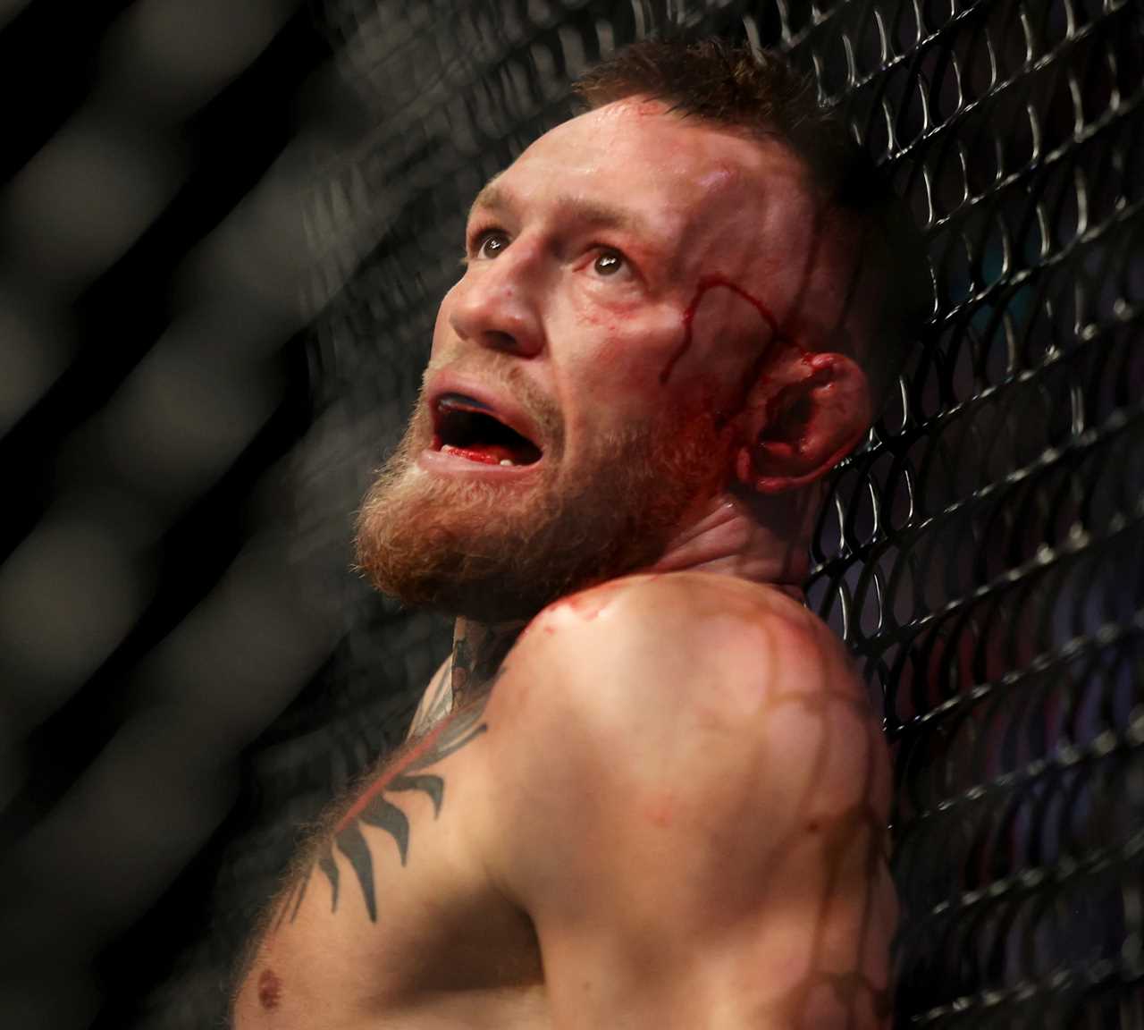 The power would be too great - Khabib's coach claims Jake Paul hits extremely hard and supports him in Conor McGregor bout