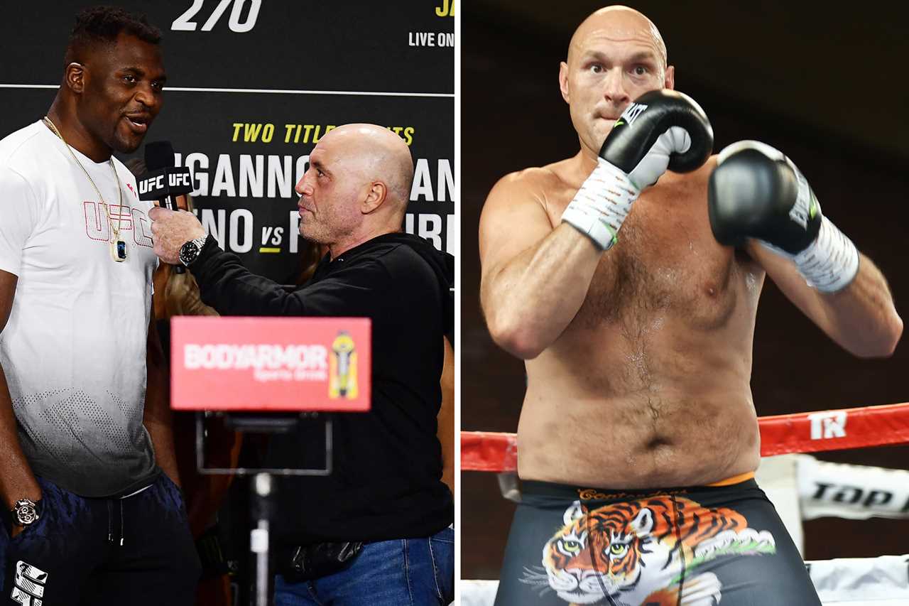 It's evident to see - Tyson Fury shows his class in 'excellent sparring' with Martin Bakole before the fight against Dillian Whyte