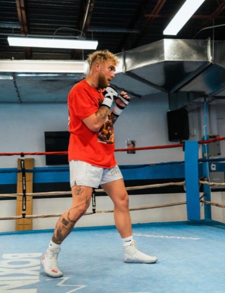 Andy Lee, a New Zealand rugby legend and Jake Paul's trainer, has called Jake Paul out to fight Sonny Bill Williams in the future.