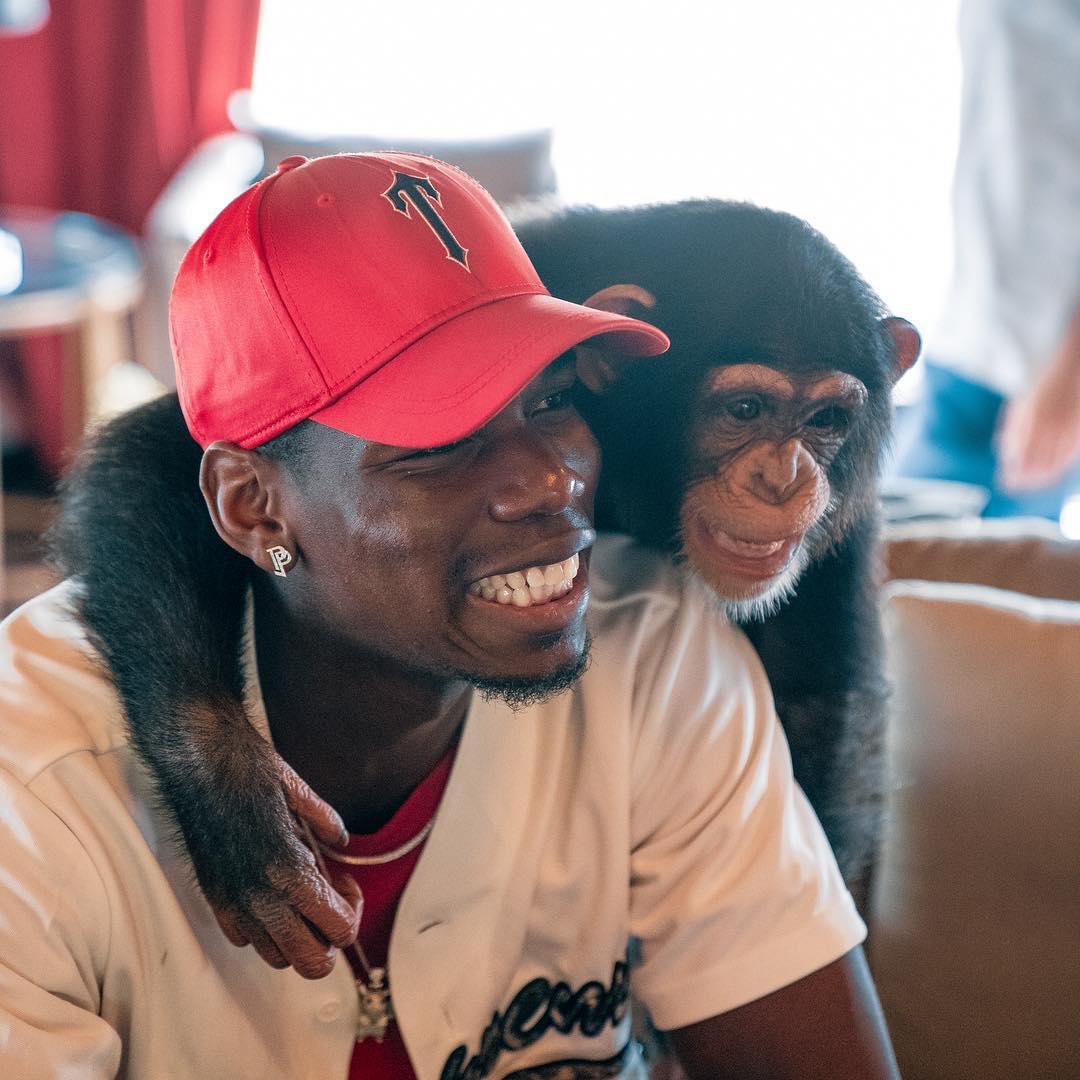Paul Pogba