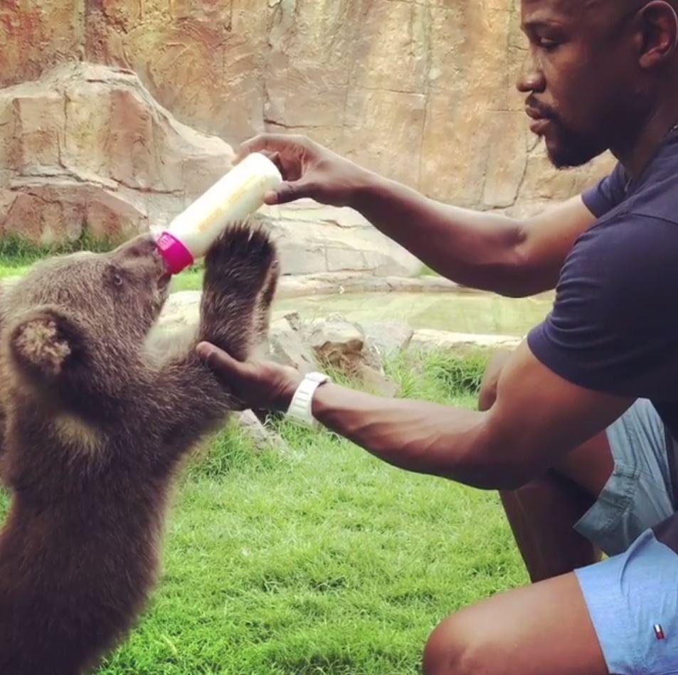 Floyd Mayweather