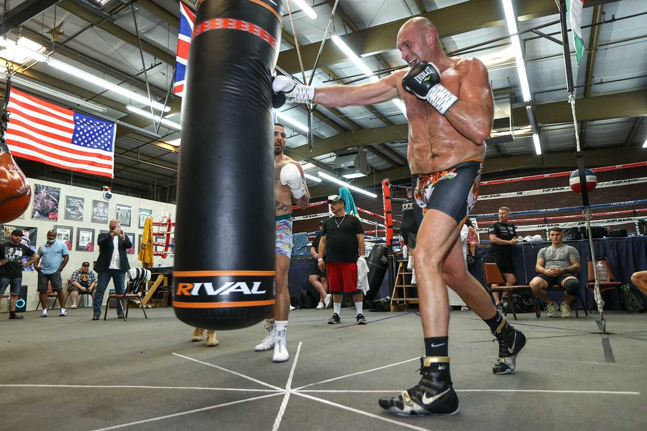 Tyson Fury will not fight Dillian Whyte with a game plan, but will face a Brit rival on the night, says trainer
