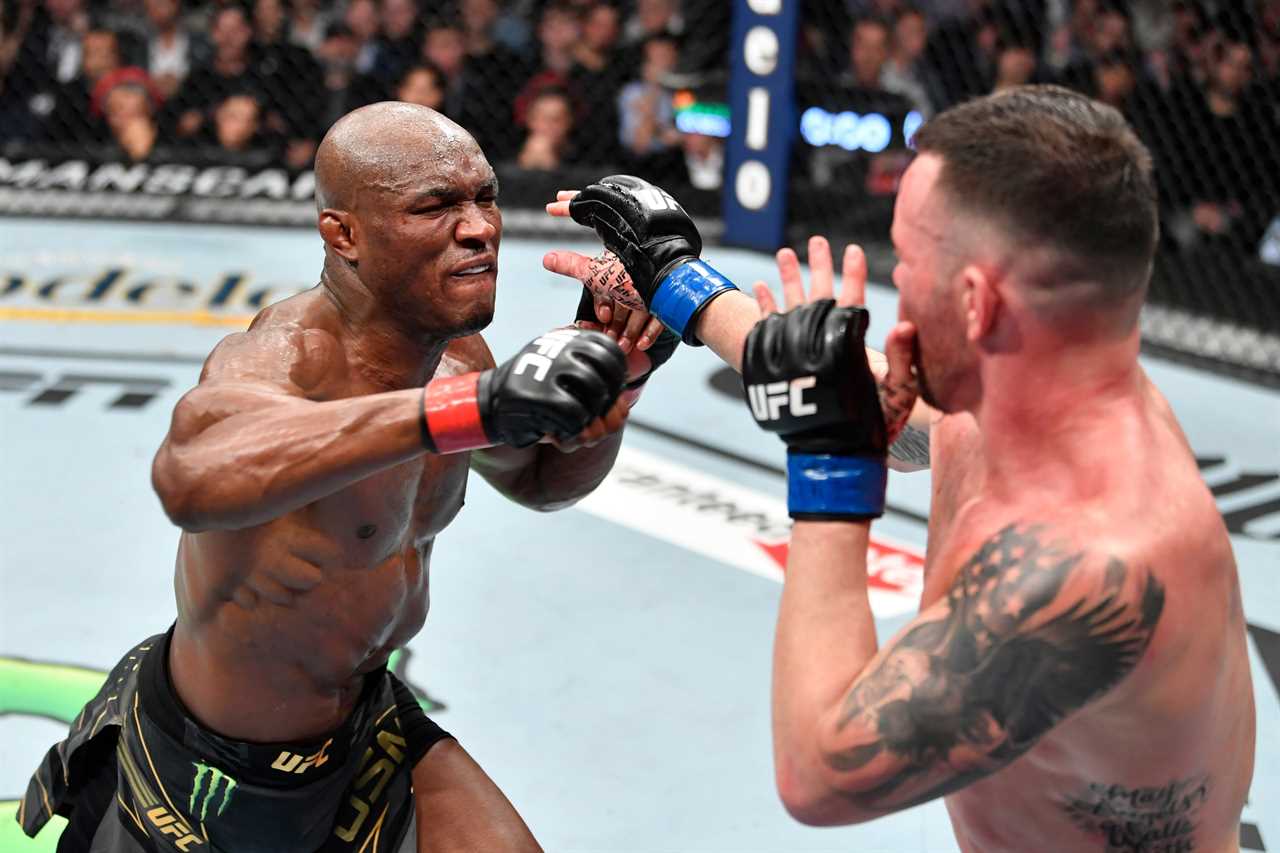 Dana White says UFC Africa is very realistic in the next five-years and that it's very big on his bucket list