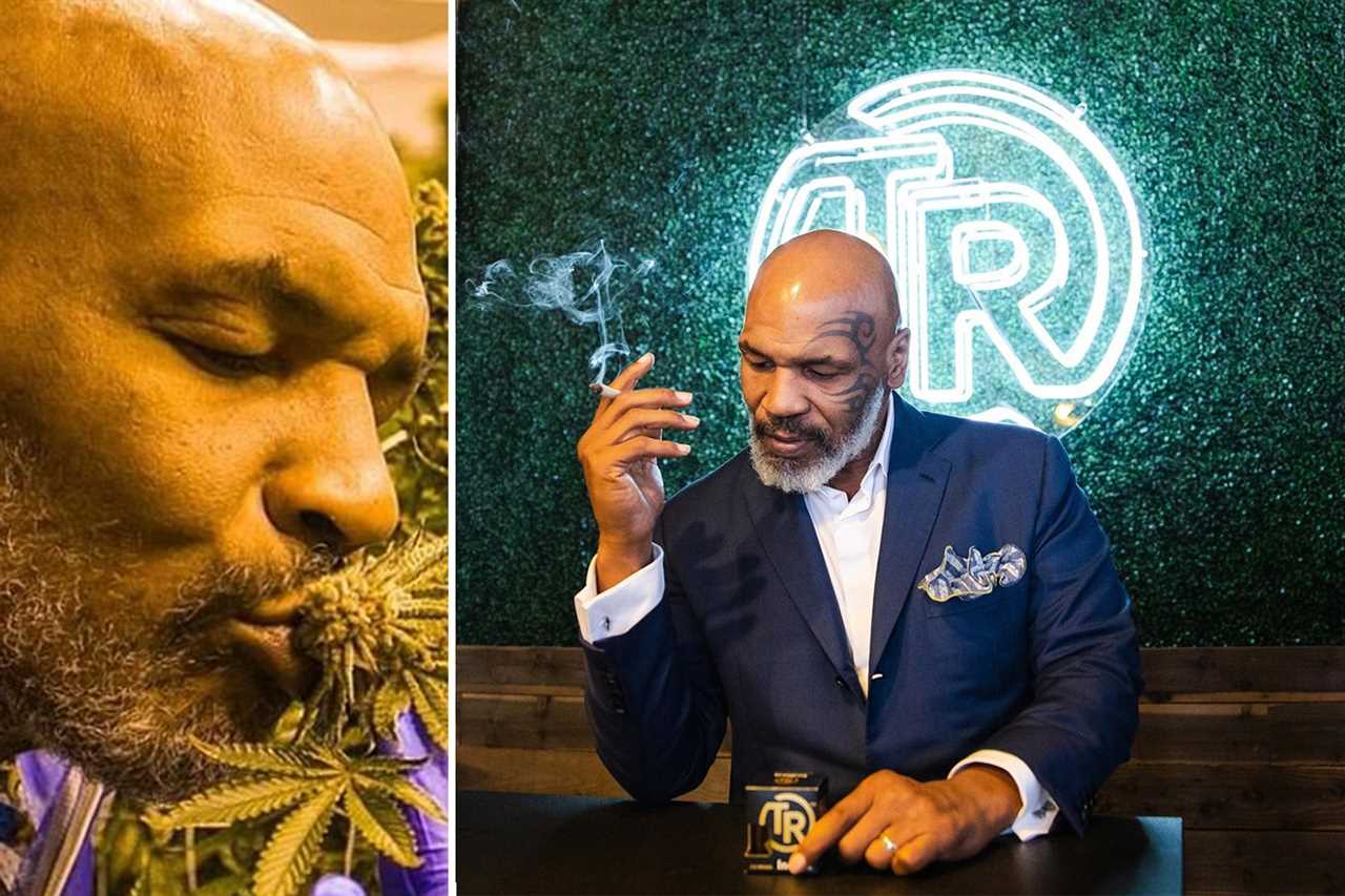 Mike Tyson's edible gummies made of weed in a shaped ear have been banned by the US state, fearing it might get children addicted to marijuana.