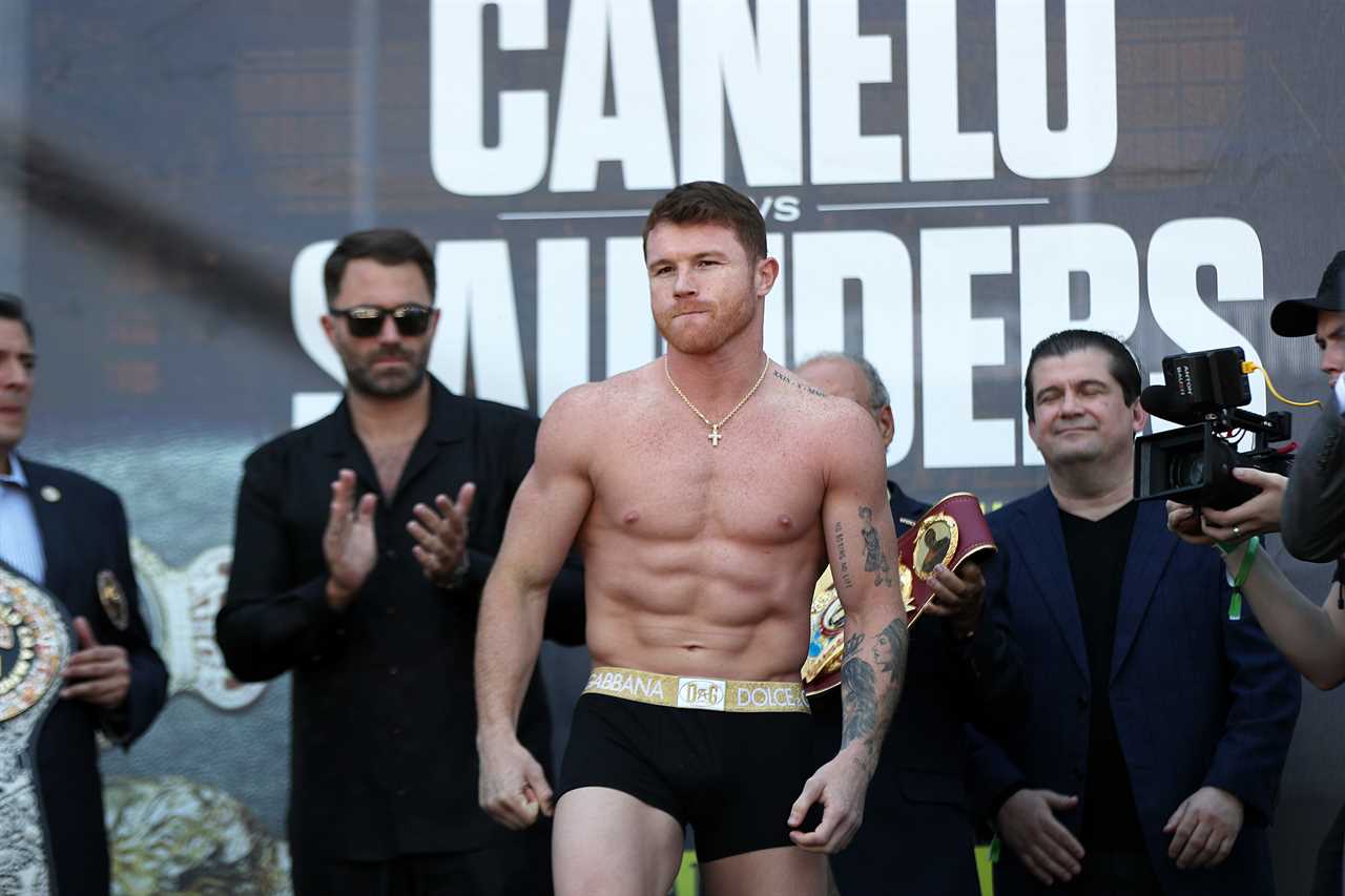 Jake Paul's sparring partner, Canelo Alvarez, wants YouTube star Jake Paul to fight next. Then RETIRE at 25.