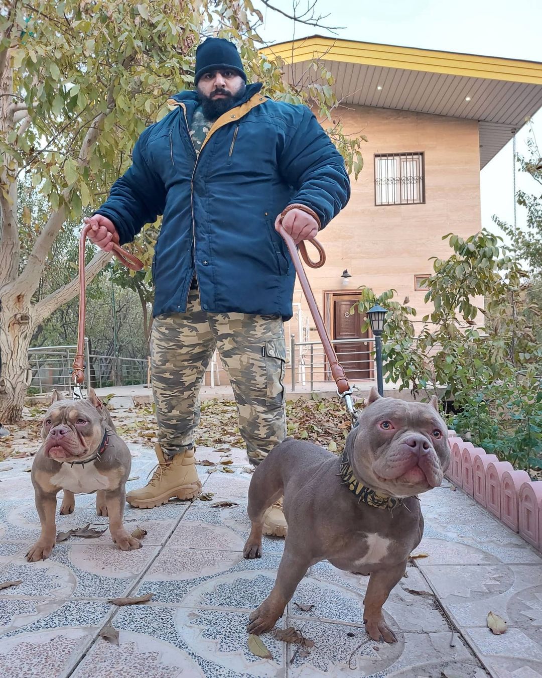 Throwback photos are not able to capture Iranian Hulk's incredible transformation into 380-pound strongman Sajad Gaharibi.