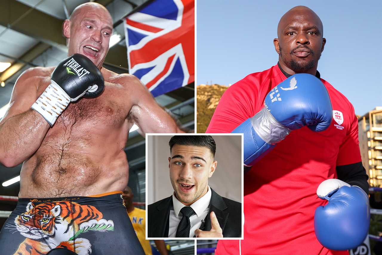 Tyson Fury warns that he won't be successful - Former UFC heavyweight champion Dos Santos warned him not to pursue his MMA dream