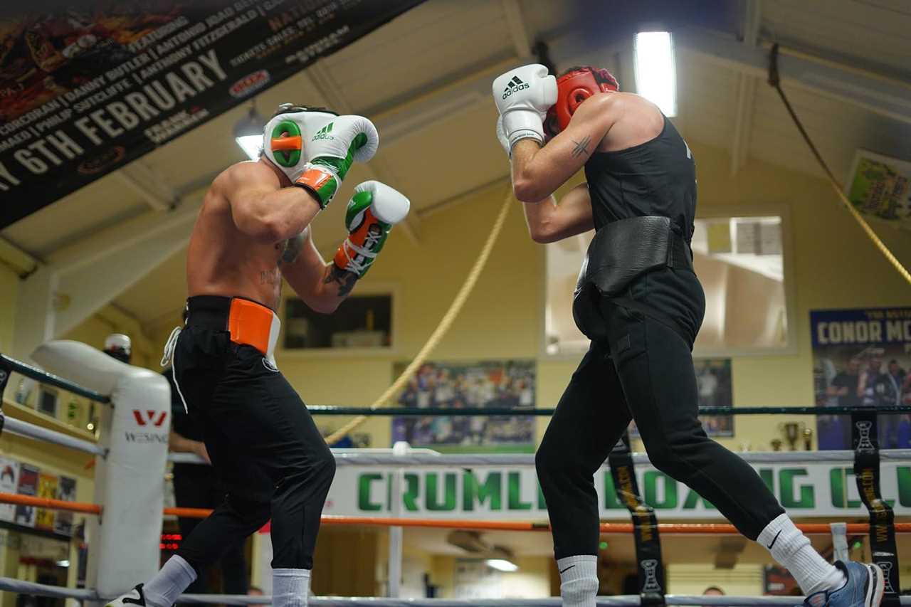 Conor McGregor is seen sparring in Irish-coloured gear for the first time since his horror leg break. UFC star makes a comeback