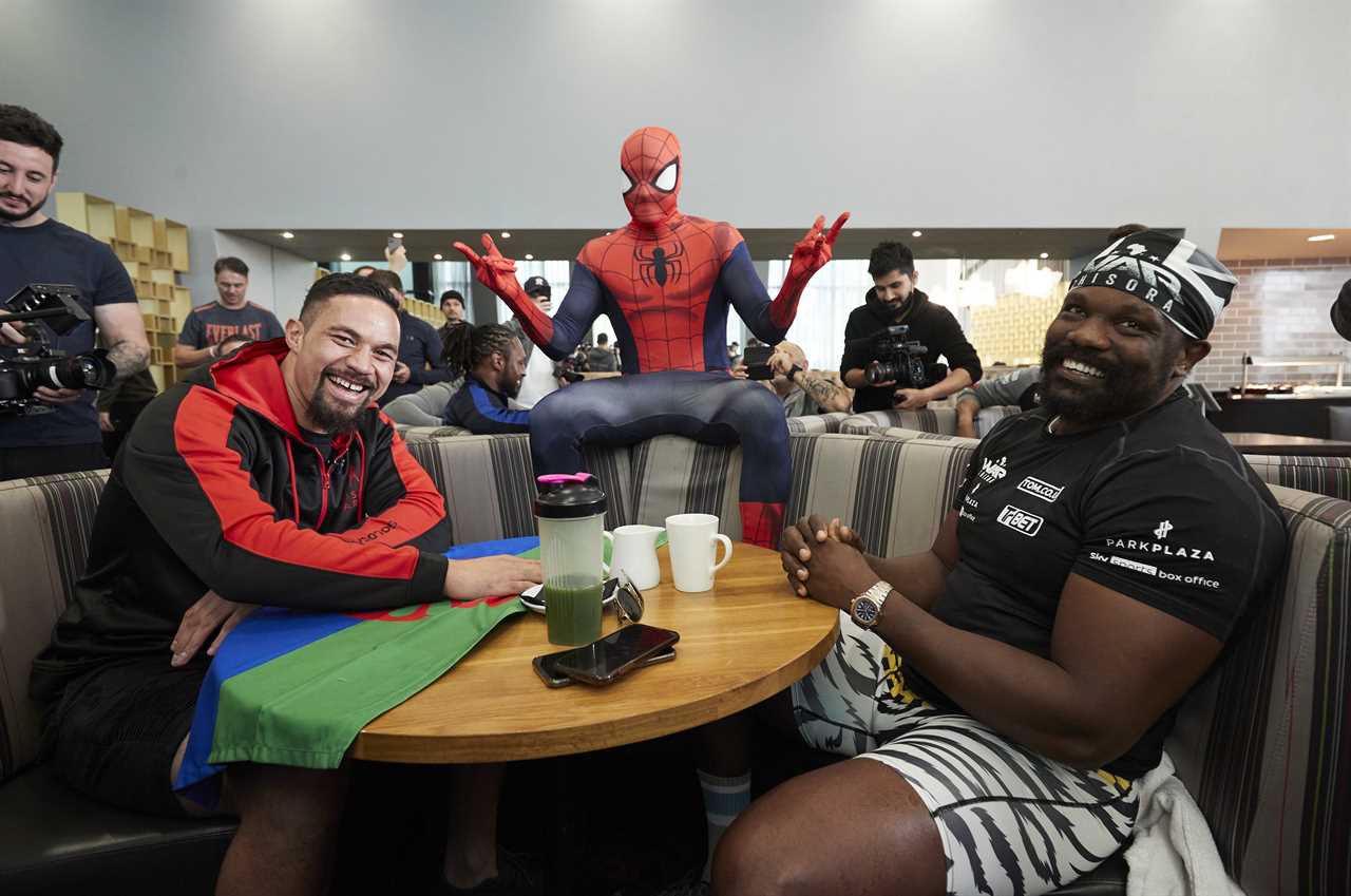Boxers have canceled fights at the most bizarre and unusual times, including Joseph Parker's Spider Bite.