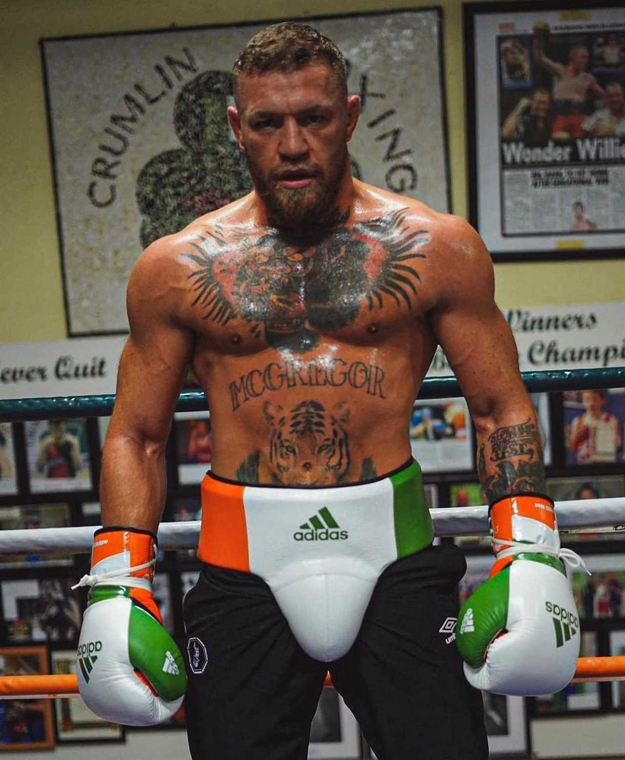 Conor McGregor's incredible physique is revealed as the UFC legend spars before returning from injury