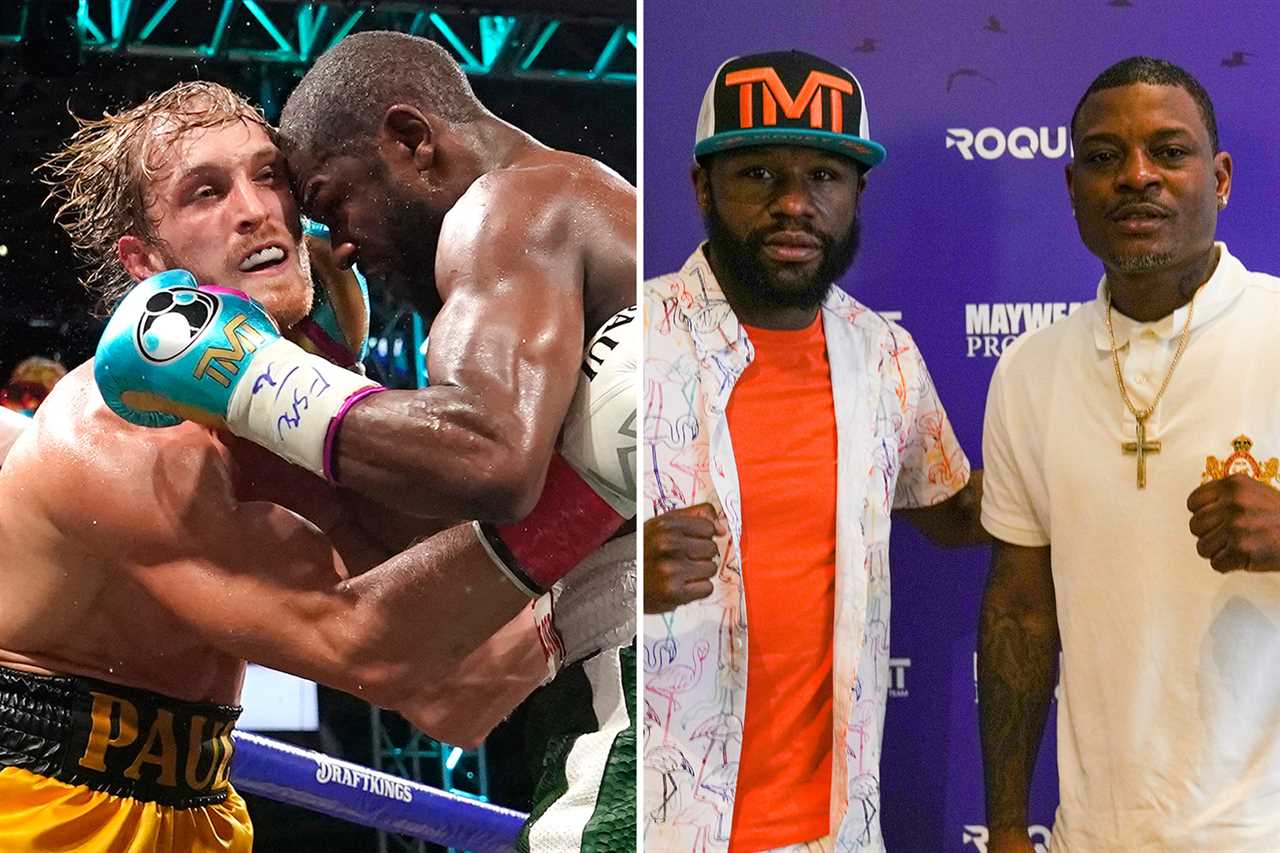 According to UFC legend, Jake and Logan Paul resuscitated boxing after it wasn't exciting any more following Mike Tyson's retirement.