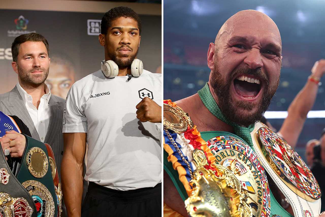 Tyson Fury backed brothers Jake and Logan Paul to defeat them at the SAME TIMES in a 'Russian' style MMA bout
