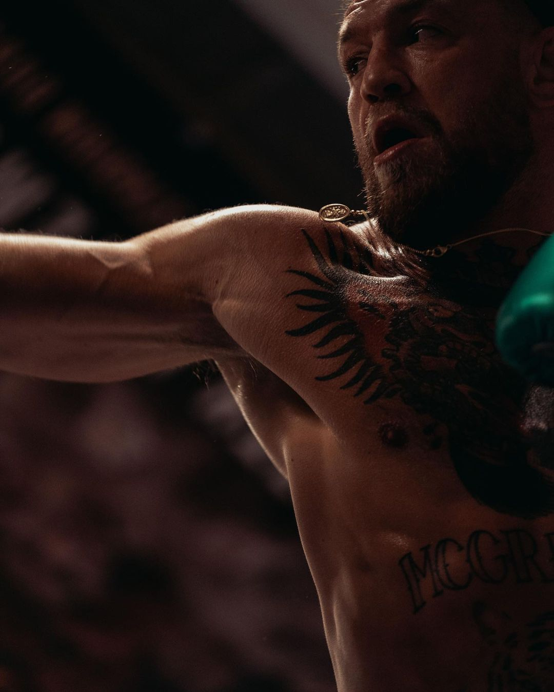 Conor McGregor steps up training regime as UFC star works up sweat in gym and looks hench ahead of return from injury