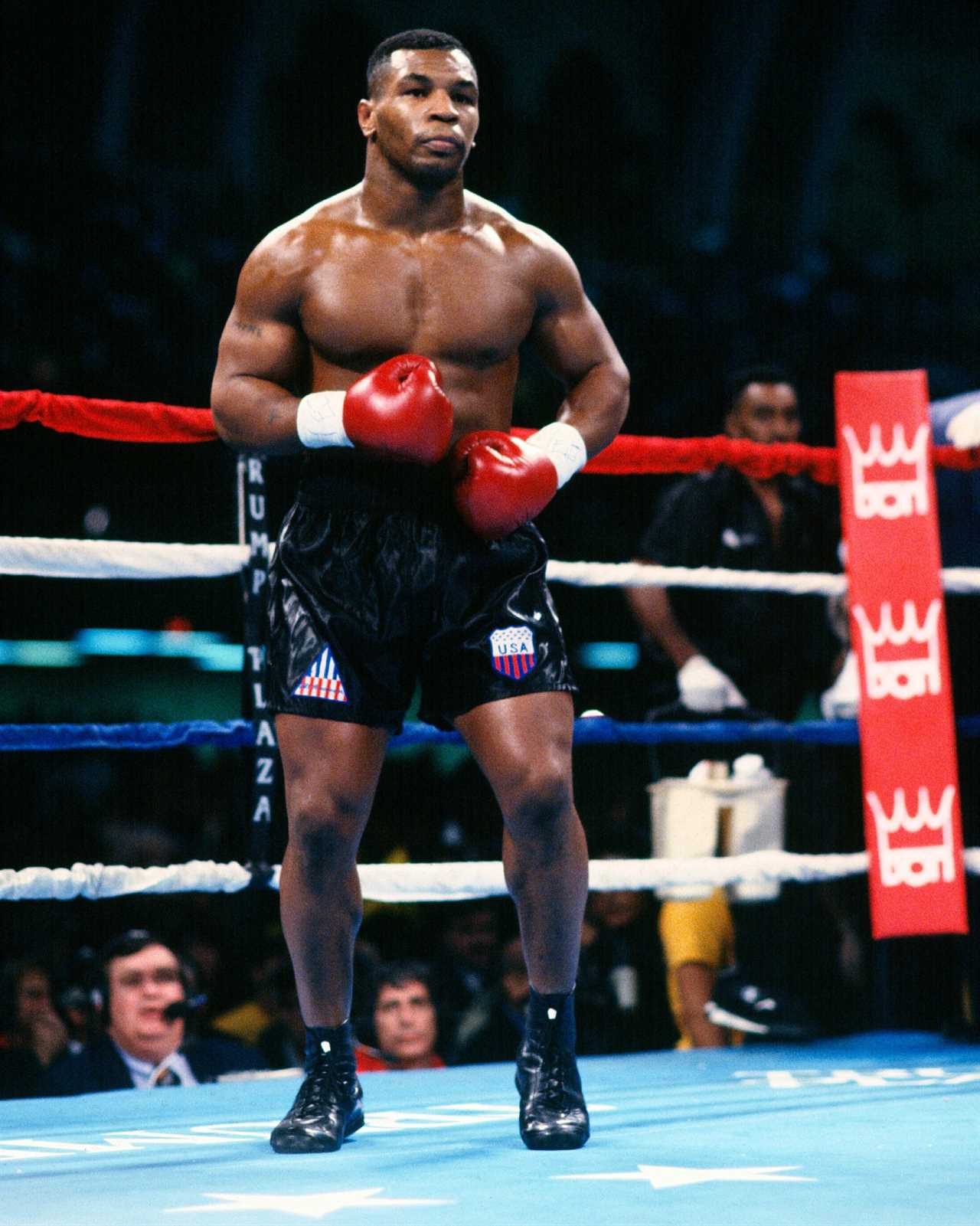 According to UFC legend, Jake and Logan Paul resuscitated boxing after it wasn't exciting any more following Mike Tyson's retirement.
