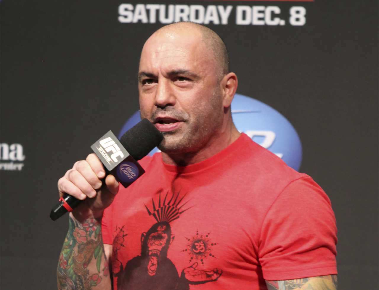 Joe Rogan, UFC legend, said that fan harassment of Mike Tyson aboard an airplane was like headbutting a honeybee