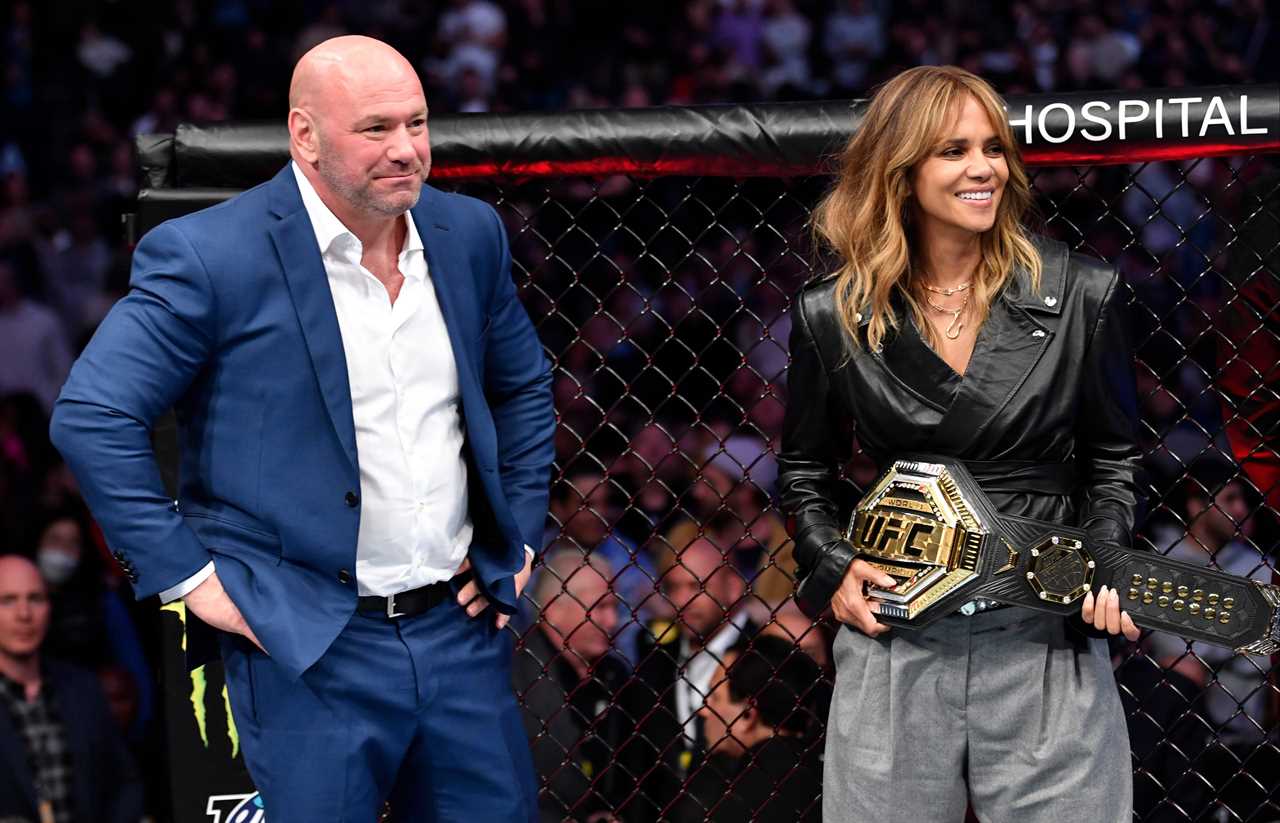 Tyson Fury’s crossover fight with Francis Ngannou slammed as f***ing stupid’ by UFC boss Dana White as talks continue
