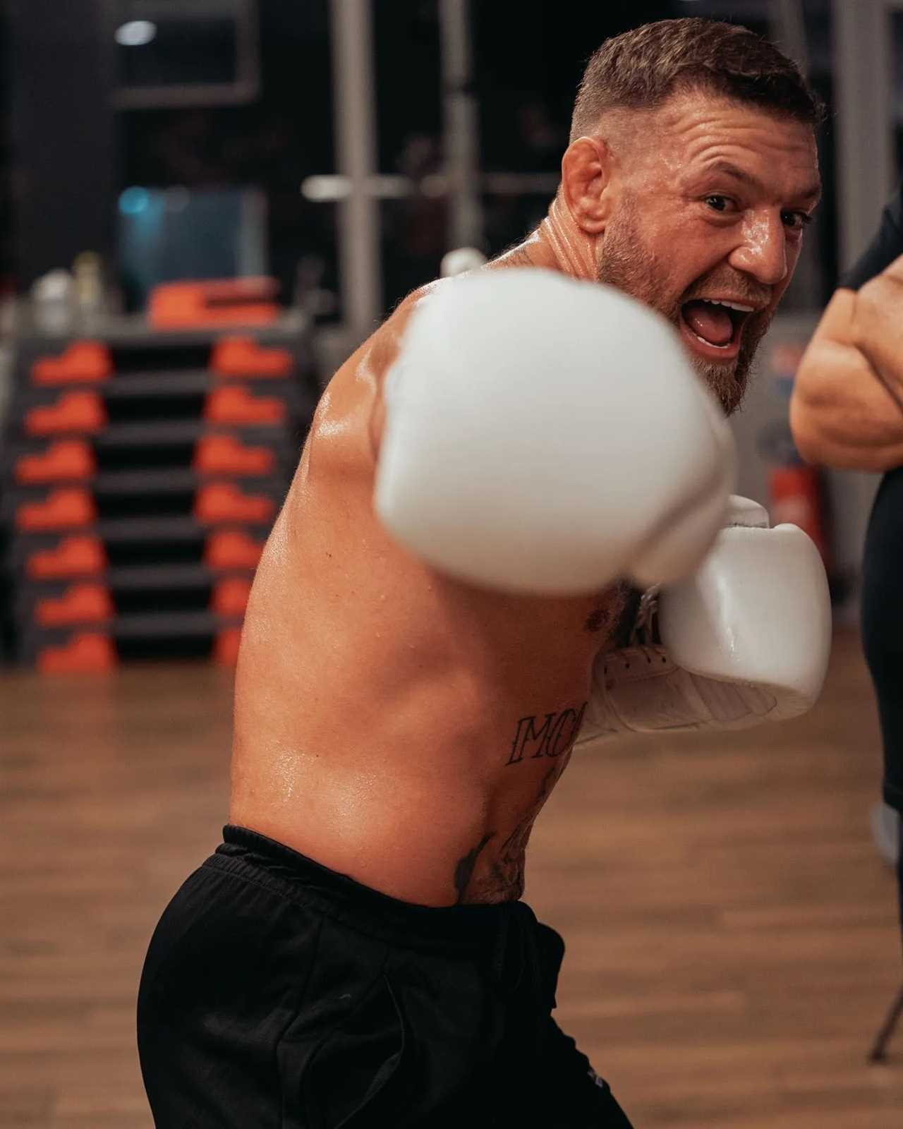 Conor McGregor, UFC star, shows huge body transformations in training