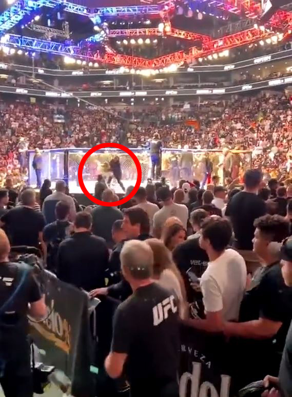 Watch female fan brutally sent flying by ruthless security guard during failed attempt to break into octagon at UFC 274
