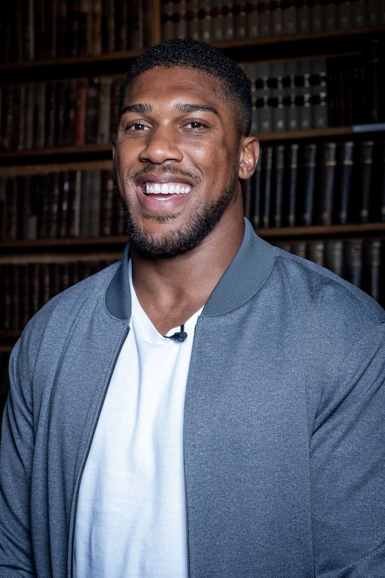 Deontay Wilder stated that the only fight left was against Anthony Joshua, with all other opponents considered 'irrelevant'