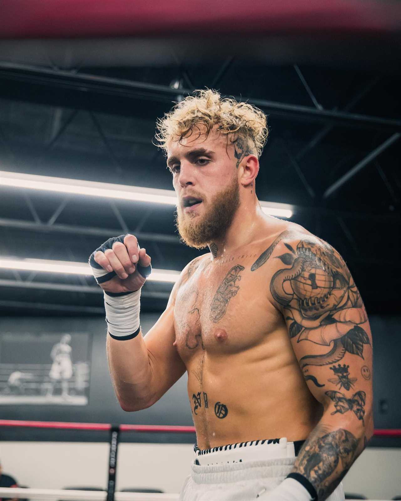 Jake Paul wants to form a fighters union using the help of UFC stars and high-paid boxers. He demands better pay.