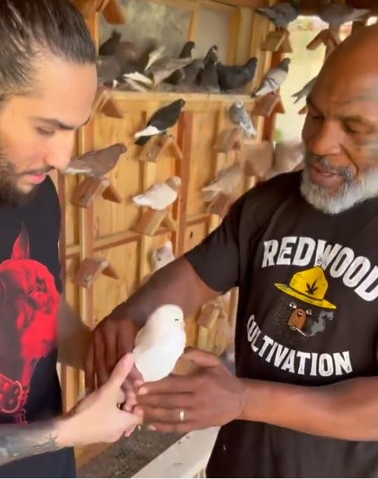 Mike Tyson meets Muhammad Ali’s unbeaten grandson Nico, as the boxing legend invites him for $100k pigeon house.