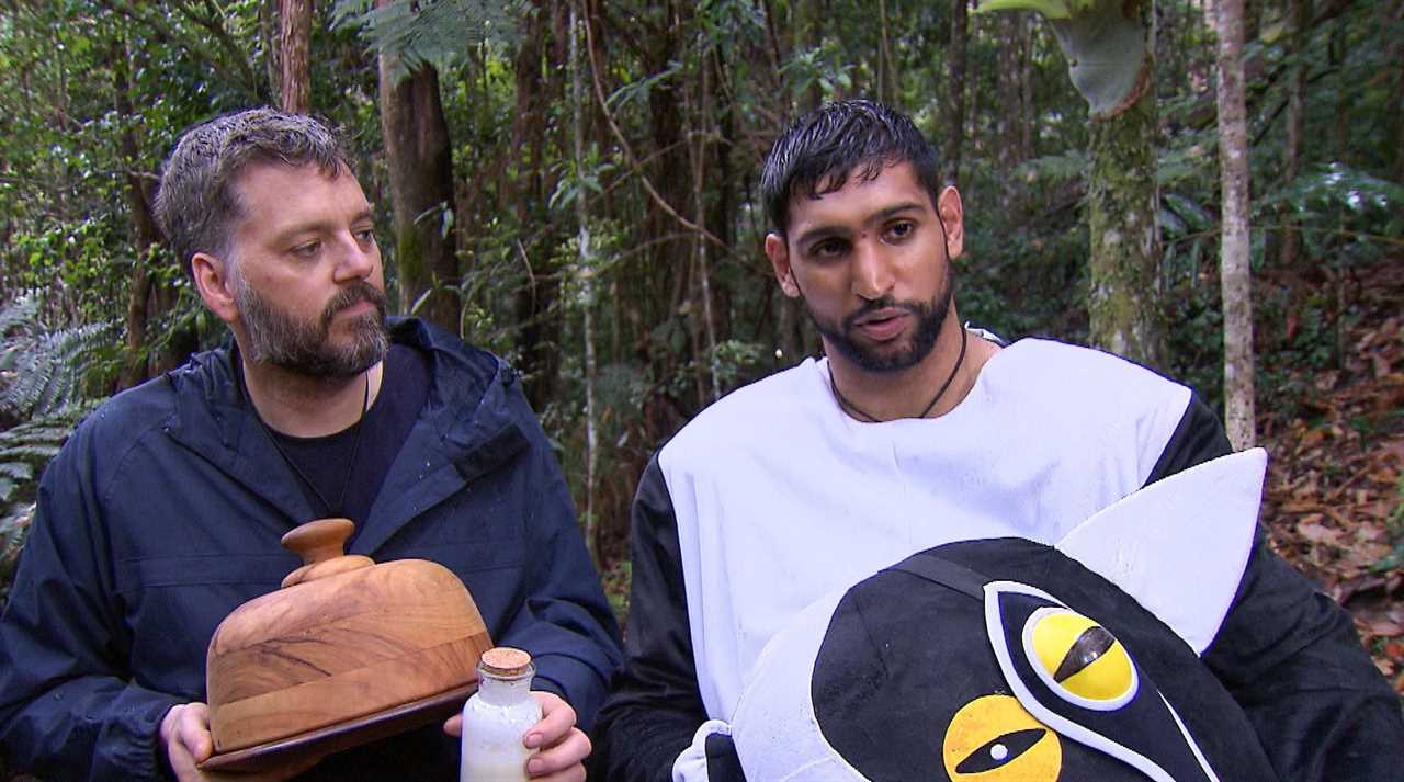Amir Khan plans to spend more time in front the camera once I'm a Celeb Star retires from boxing