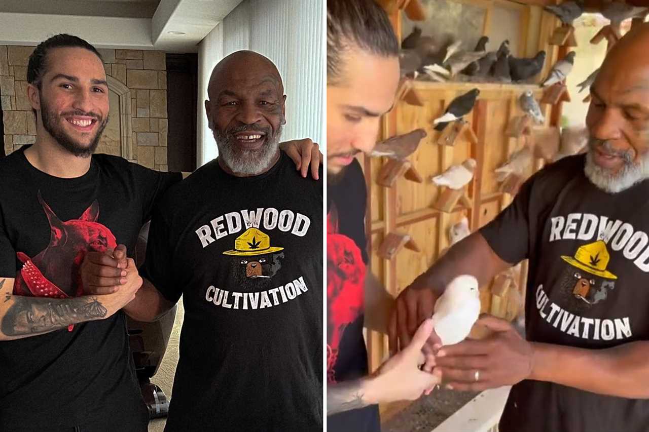 After his role in The Hangover, boxing legend Mike Tyson has been offered a new job as an actor in Black Flies.