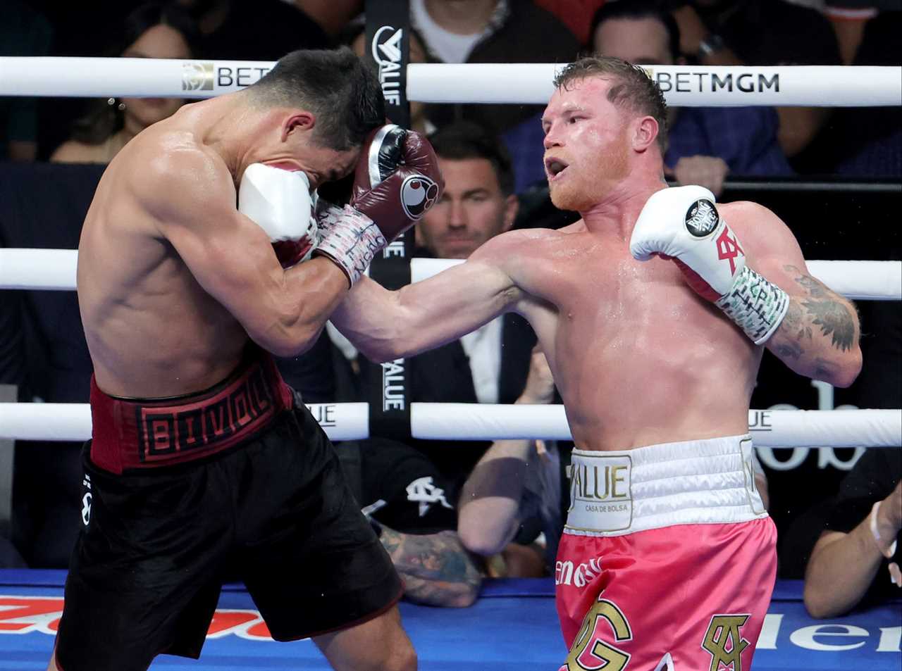 Canelo Alvarez confirmed that he will be fighting Gennady Gorlovkin next in a huge trilogy bout before rematching Dimitry bivol