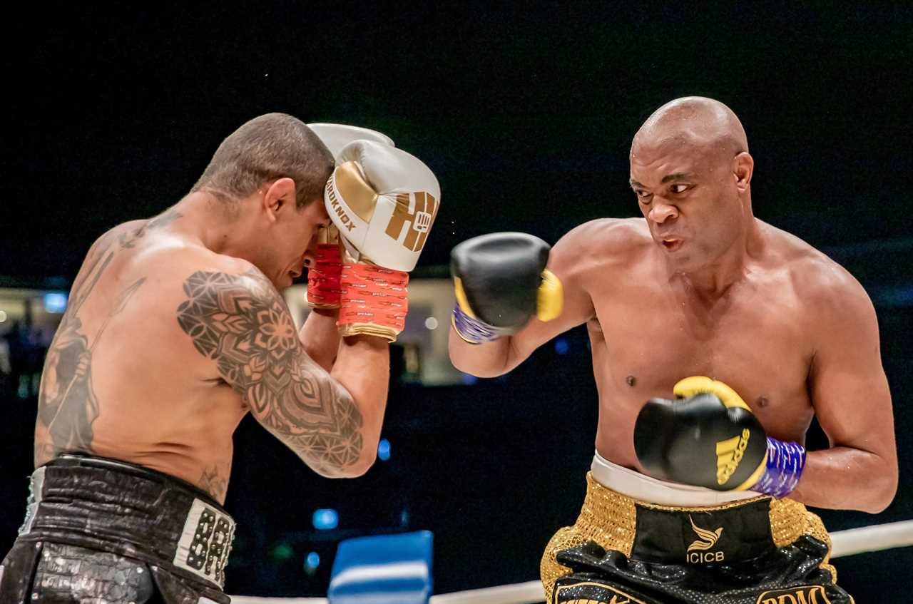 Jake Paul suggests that Anderson 'The Spider Silva, UFC legend, will be his next opponent. He also shows a 'pest control picture of himself