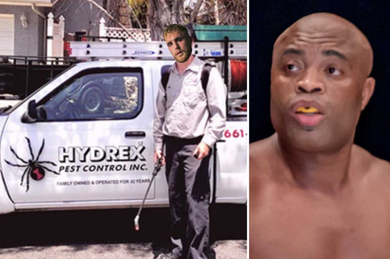 After placing huge bets on their boxing fights, Snoop Dogg declares that he loves Logan and Jake.