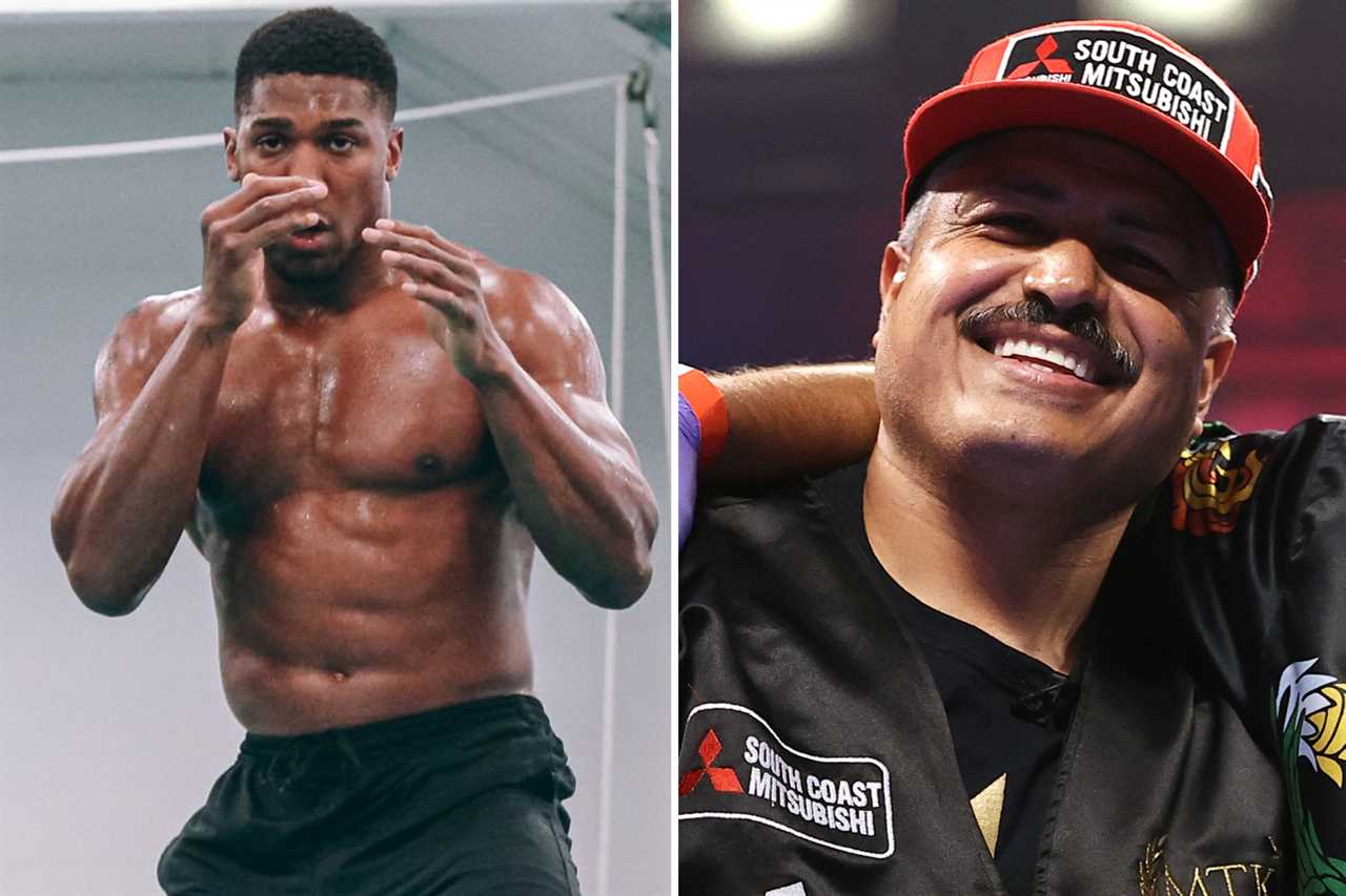 Anthony Joshua against Oleksandr Usyk winner to face Daniel Dubois and Trevor Bryan victor for WBA world title