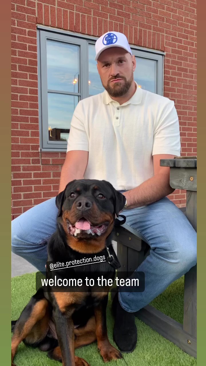 Tyson Fury purchases a 'PS20,000 top-security dog' for his family's protection, along with Paris Fury and their six children