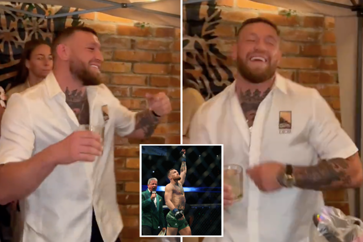 Conor McGregor, UFC star, purchases another Dublin pub to expand his business empire