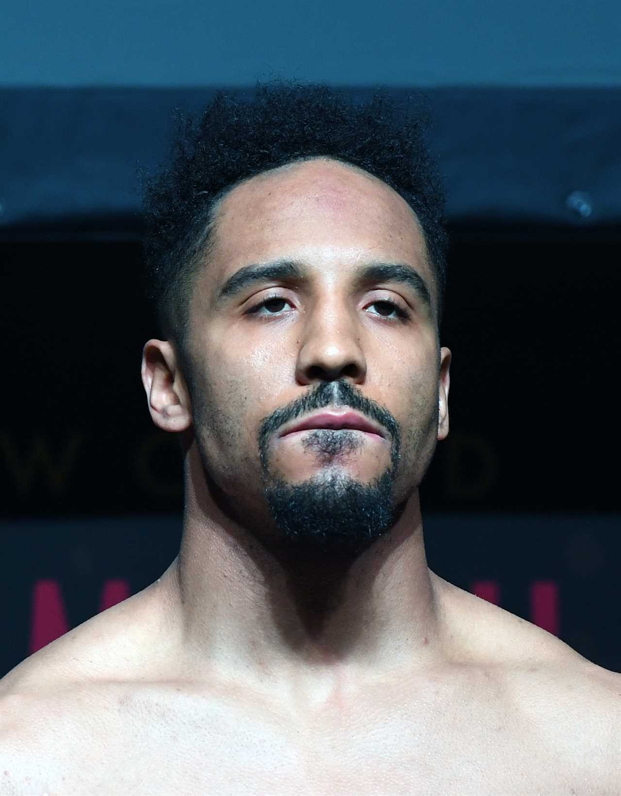 Floyd Mayweather says Andre Ward, a former pound-for pound star, wants a boxing show with Jake Paul