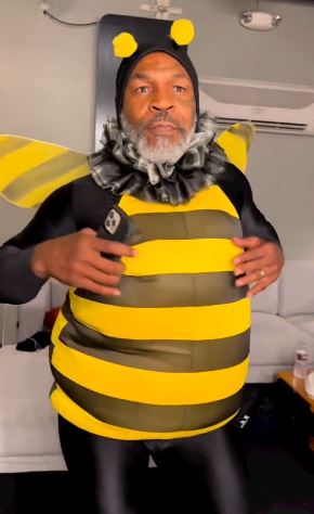 Fearsome Mike Tyson, dressed up as BUMBLEBEE and dancing on Jimmy Kimmel's show, utters I'm feeling beautiful.