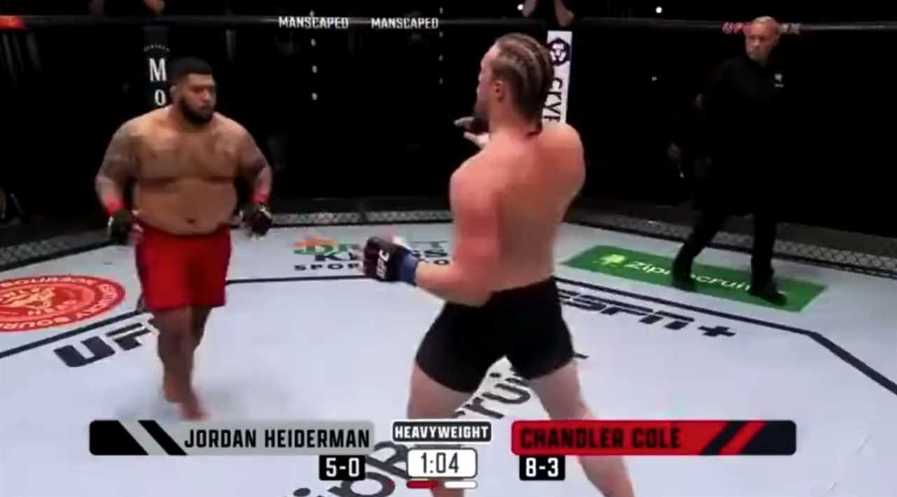 Dad bod role model - Chandler Cole, 265 lbs., lands a stunning spinning back-heel kick... yet loses MMA bout