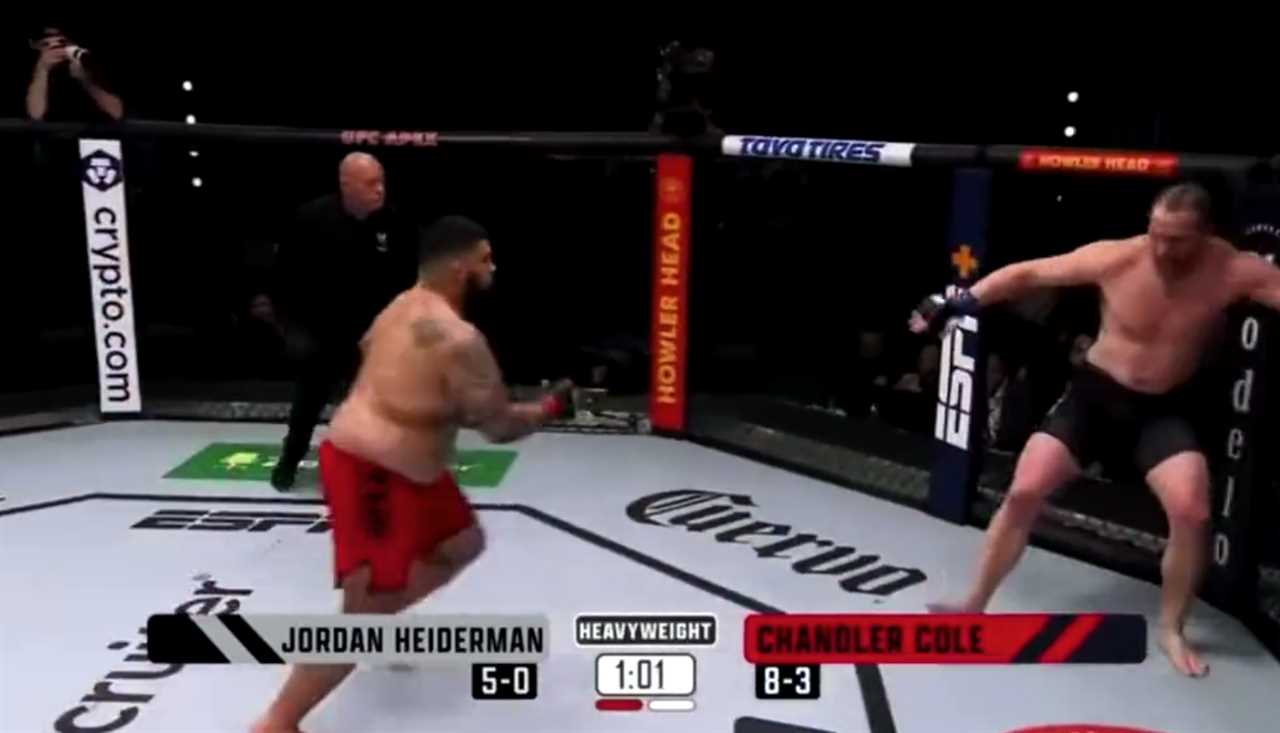Dad bod role model - Chandler Cole, 265 lbs., lands a stunning spinning back-heel kick... yet loses MMA bout