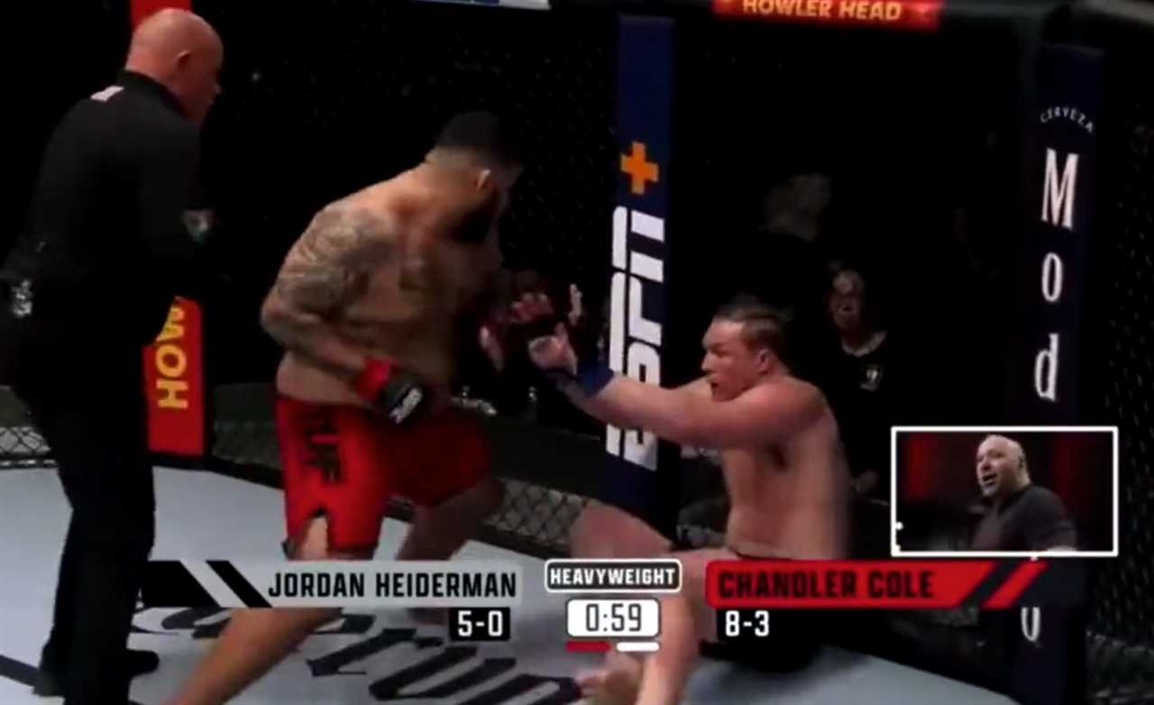 Dad bod role model - Chandler Cole, 265 lbs., lands a stunning spinning back-heel kick... yet loses MMA bout