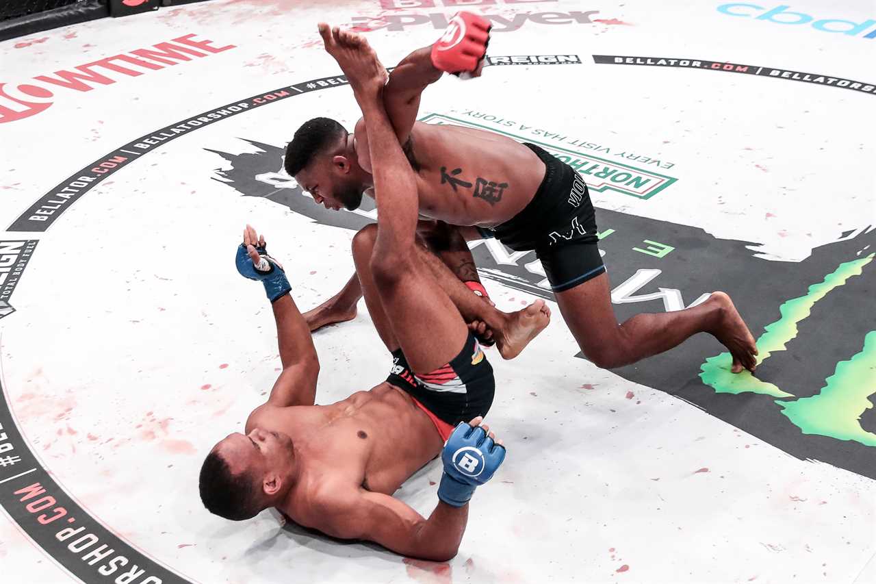 Paul Daley, a Bellator icon, says that only Nick Diaz, Jorge Masvidal, and Michael Page would tempt him into MMA retirement