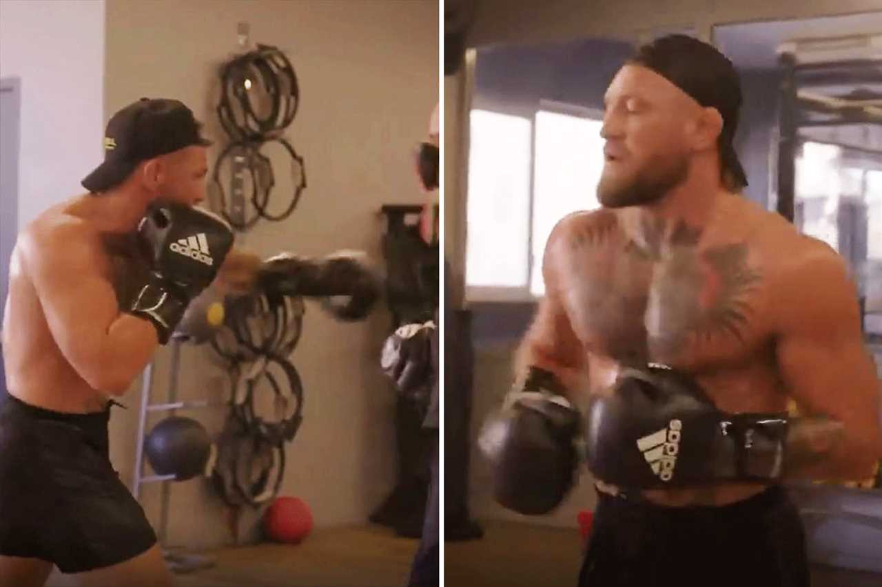 Conor McGregor was labelled the 'biggest nobody' by UFC star.